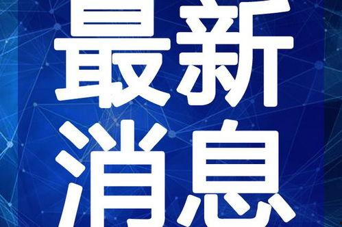 奶茶爆料原创视频大全最新,揭秘网红奶茶幕后真相，最新视频大全大揭秘！
